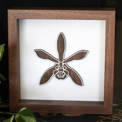 Original Wood Art - Encyclia tampensis - Ships Free!