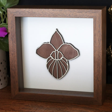 Original Wood Art - Paphiopedilum armeniacum - Ships Free!