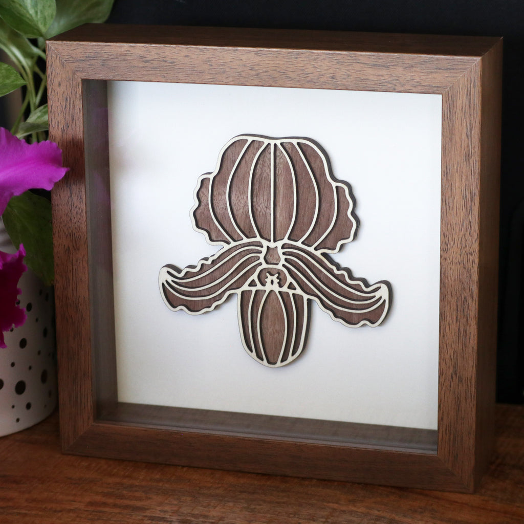 Original Wood Art - Paphiopedilum fairrieanum - Ships Free!