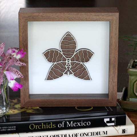 Original Wood Art - Phalaenopsis lueddemanniana  - Ships Free!